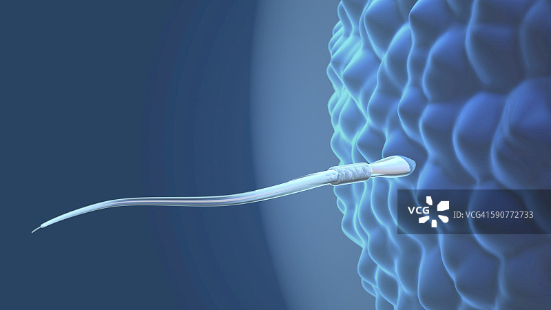 人工授精图片素材