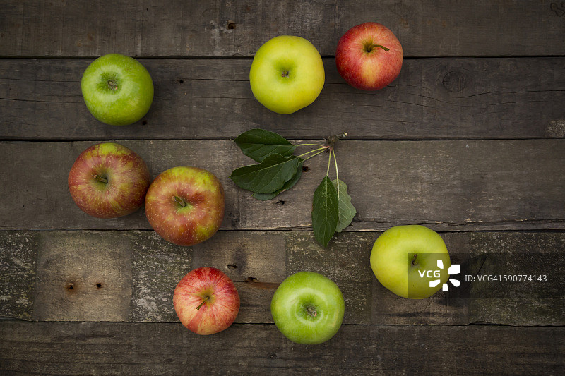 不同品种的苹果：Gala、Boskop、Granny Smith和Golden Delicious图片素材