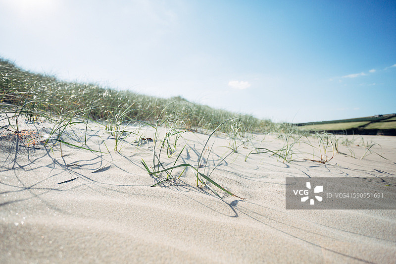 特雷吉尔斯海滩的沙丘图片素材