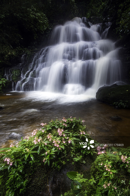 国家公园瀑布鲜花盛开图片素材
