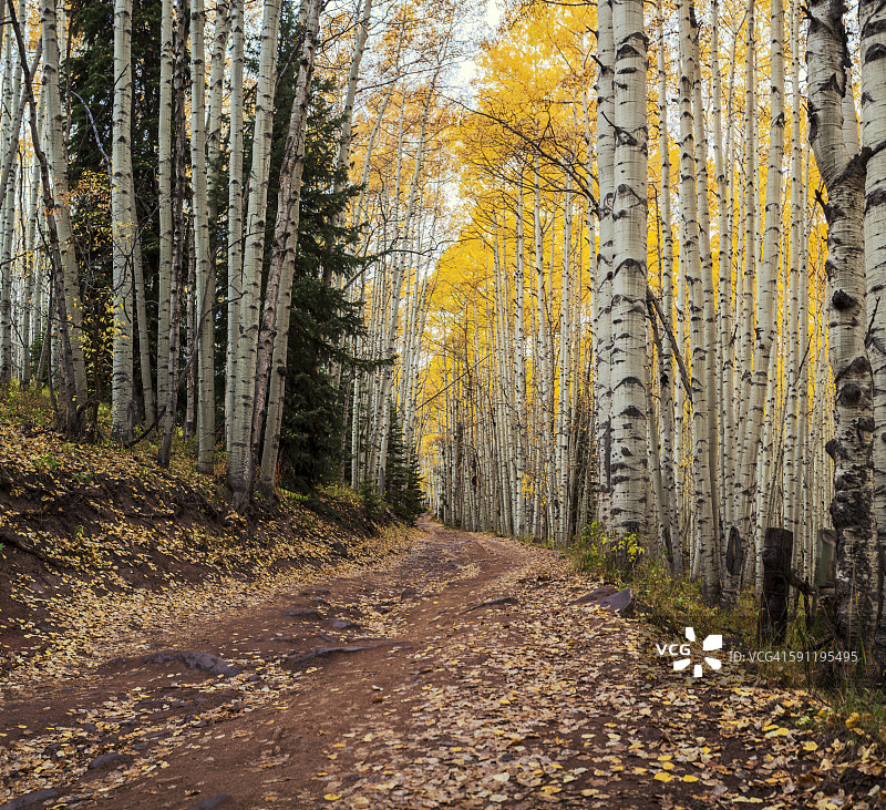 斯诺马斯溪路图片素材