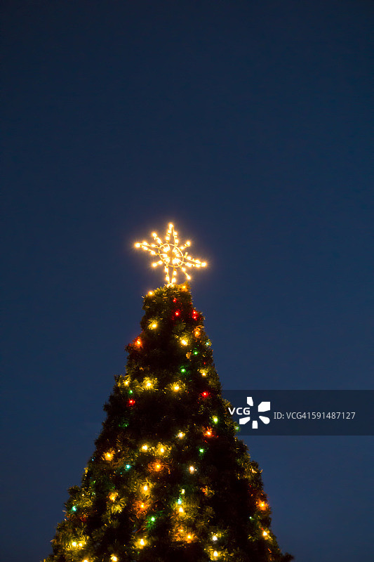 天空背景下的圣诞树星光图片素材