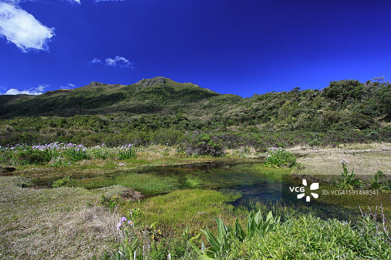 巴西伊塔蒂亚国家公园布雷若-达拉帕图片素材