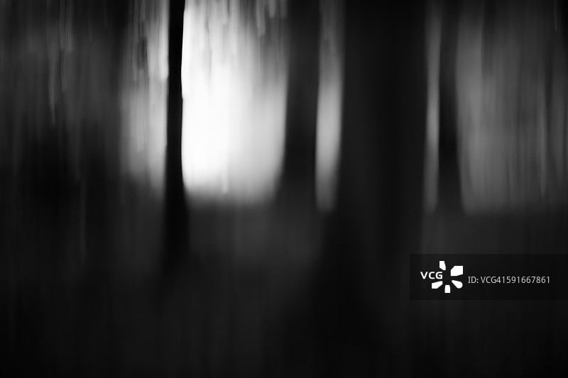 闹鬼的森林图片素材