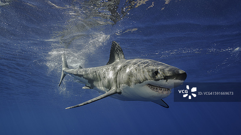 水面之下图片素材