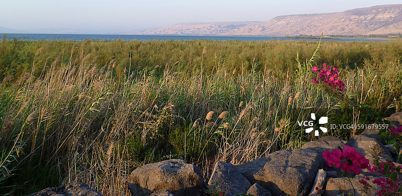 加利利海全景图片素材