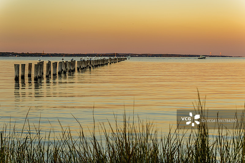 拉里坦湾日落图片素材