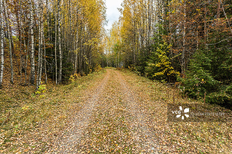 挪威海德马克秋色图片素材