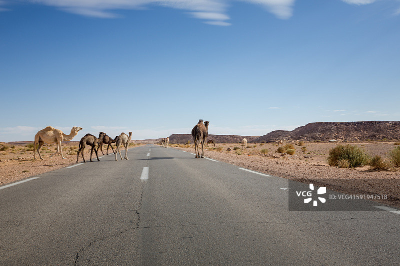 过马路图片素材