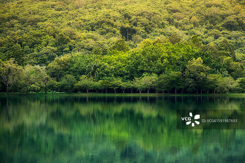 湖面倒影的翠绿公园图片素材