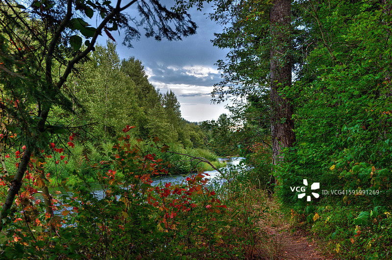 河流一瞥图片素材
