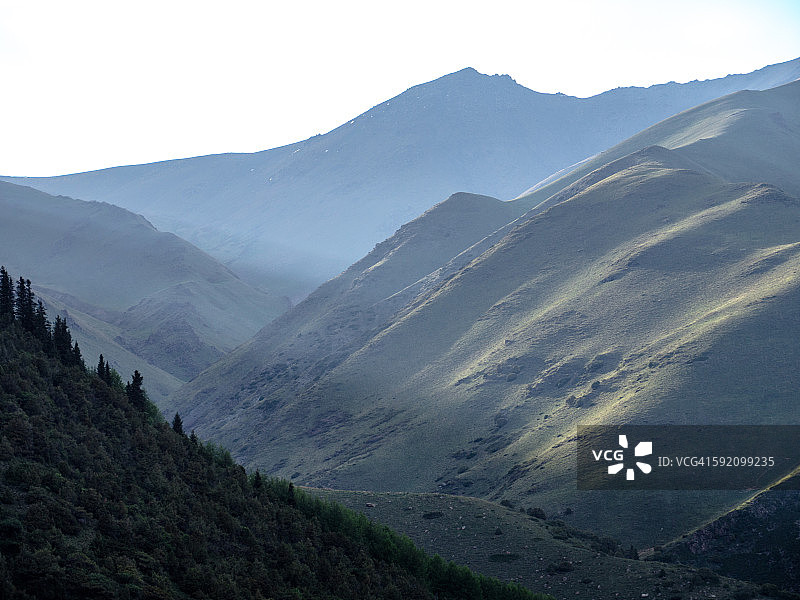 阿拉尔恰国家公园的阳光图片素材