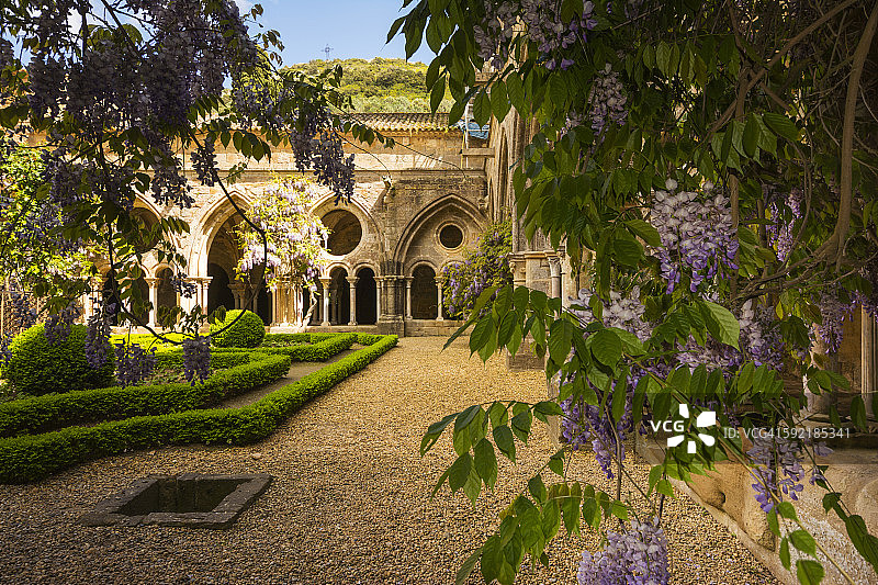 丰特弗鲁瓦德修道院，带紫藤的回廊图片素材