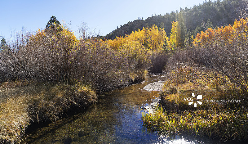 拉马克溪的秋色图片素材
