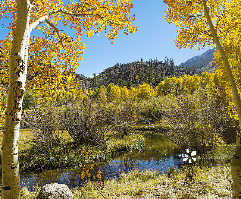 桌山露营地的秋景图片素材