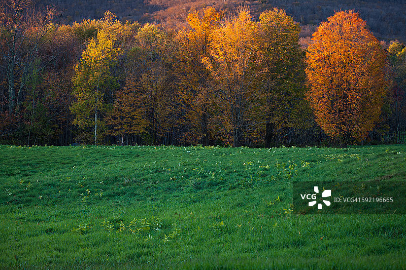 佛蒙特州的秋天图片素材