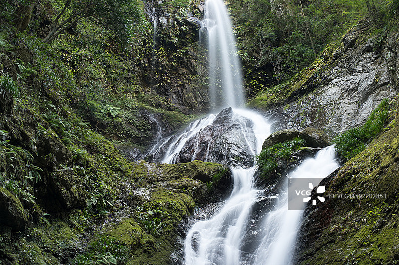 森林中的瀑布图片素材