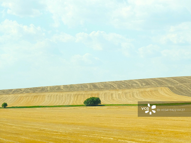 田野景观的自然图案图片素材