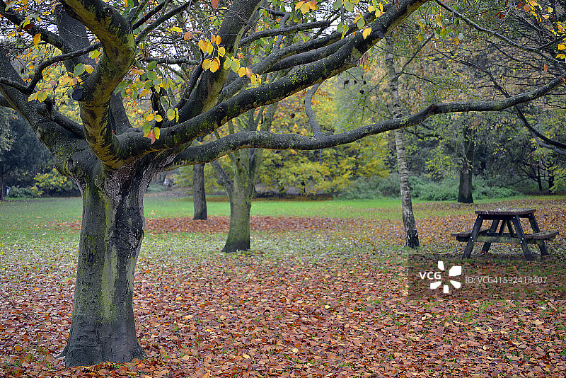 关于这个季节的一些事图片素材