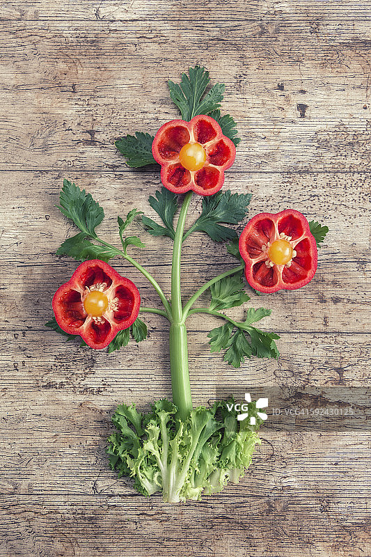 辣椒制成的花朵图片素材
