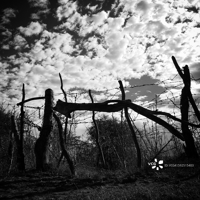 黑色和白色图片素材