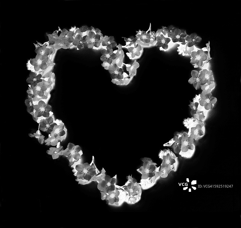 黑色和白色图片素材