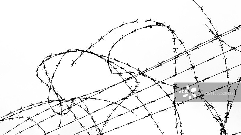 黑色和白色图片素材