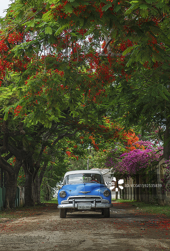 古巴特立尼达的老爷车图片素材