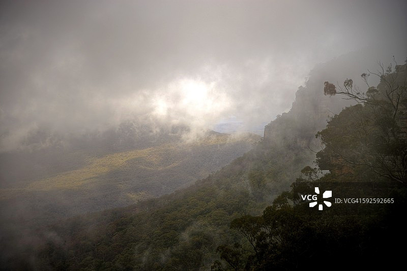 浓雾中蓝山的雨林斜坡图片素材