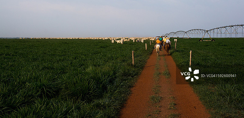 农村的场景图片素材