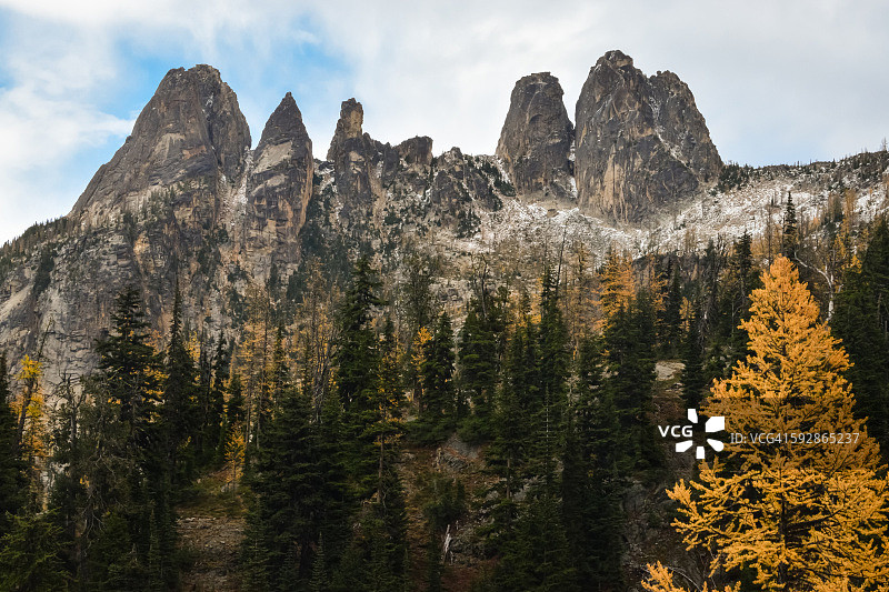 Liberty Bell、Early Winters Spires和Larche图片素材