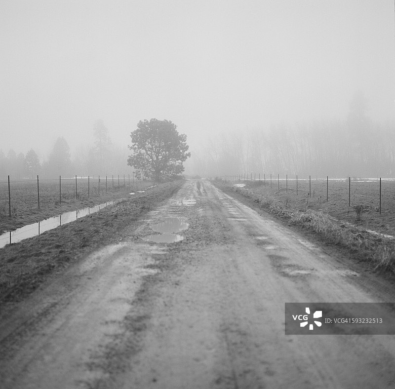 冬季栅栏环绕的砂石路图片素材