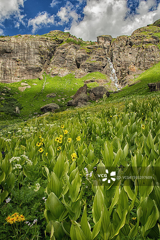 小径旁的瀑布图片素材