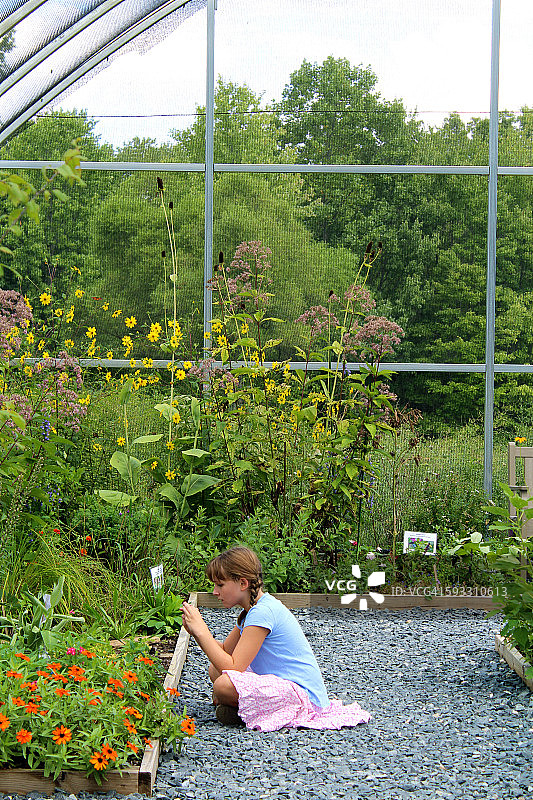 女孩在拍摄蝴蝶图片素材