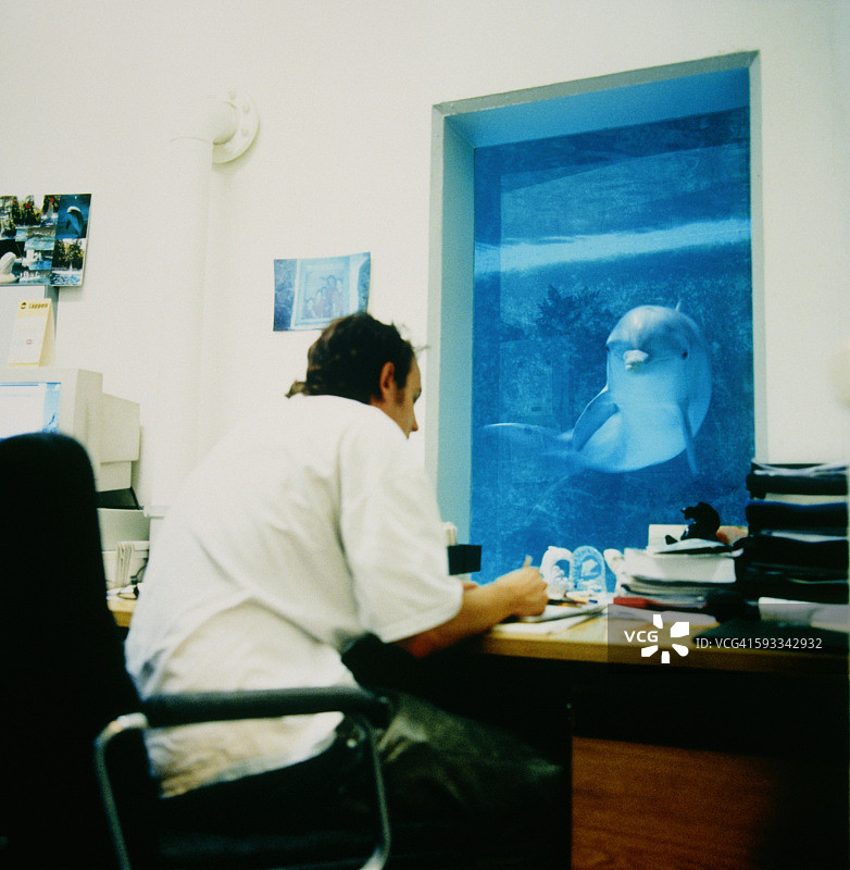 男人坐在桌旁，海豚在窗外图片素材