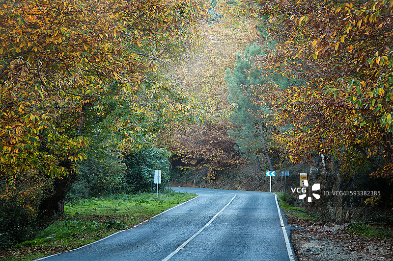 秋天的道路图片素材