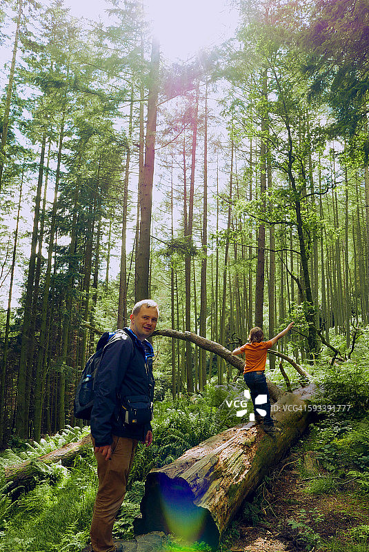在森林里玩耍图片素材