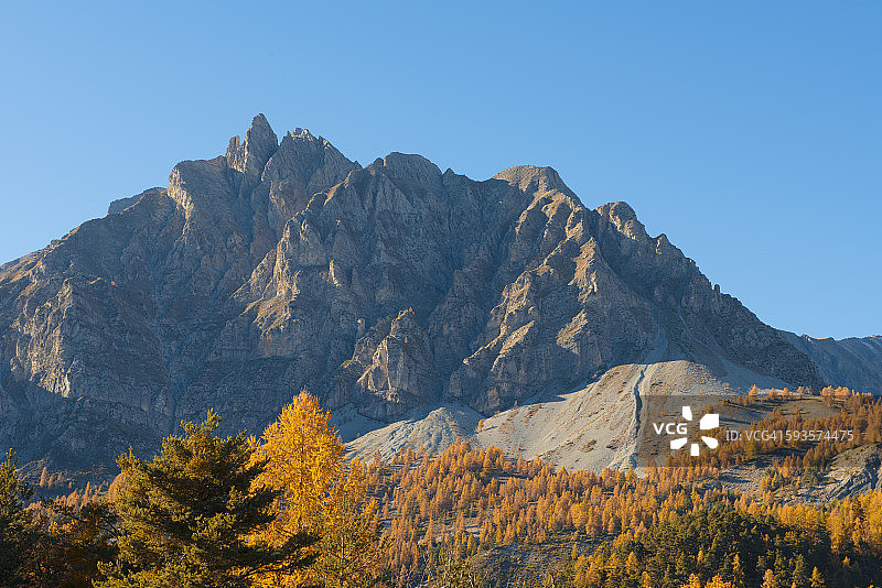 秋季法国里维埃拉腹地的Pelens针叶图片素材