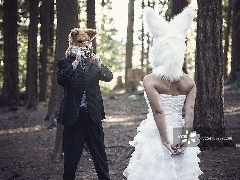 狐狸拍摄兔子，摆拍图片素材