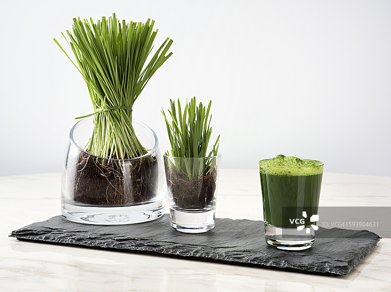 小麦草汁图片素材