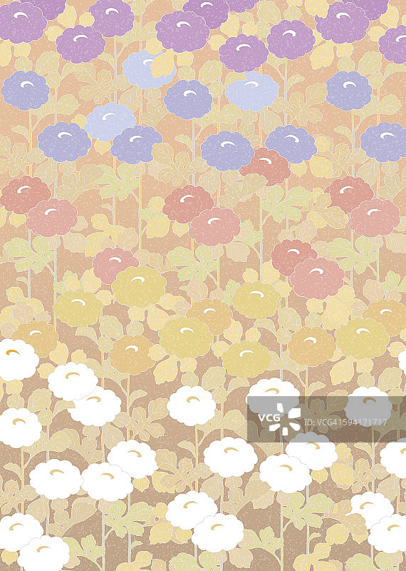 菊花背景图片素材