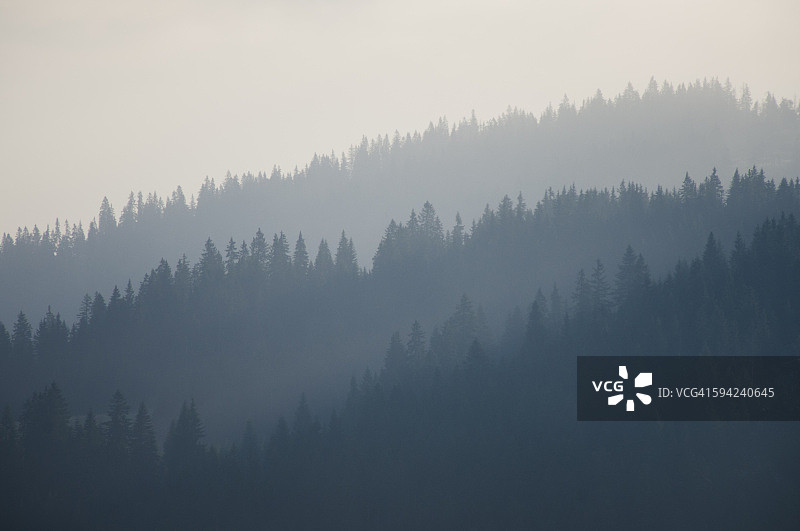 黑山北部山区森林图片素材