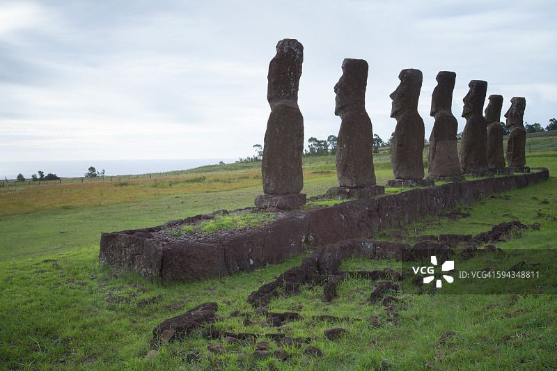 阿胡阿基维图片素材