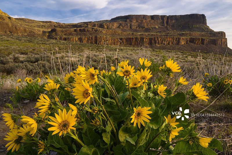 春季的汽船岩图片素材