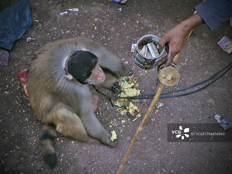 卡拉奇街头图片素材