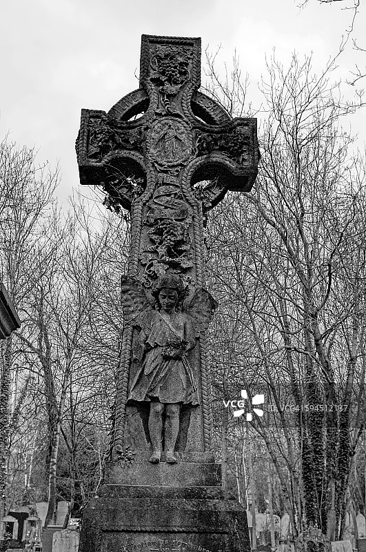 黑色和白色图片素材