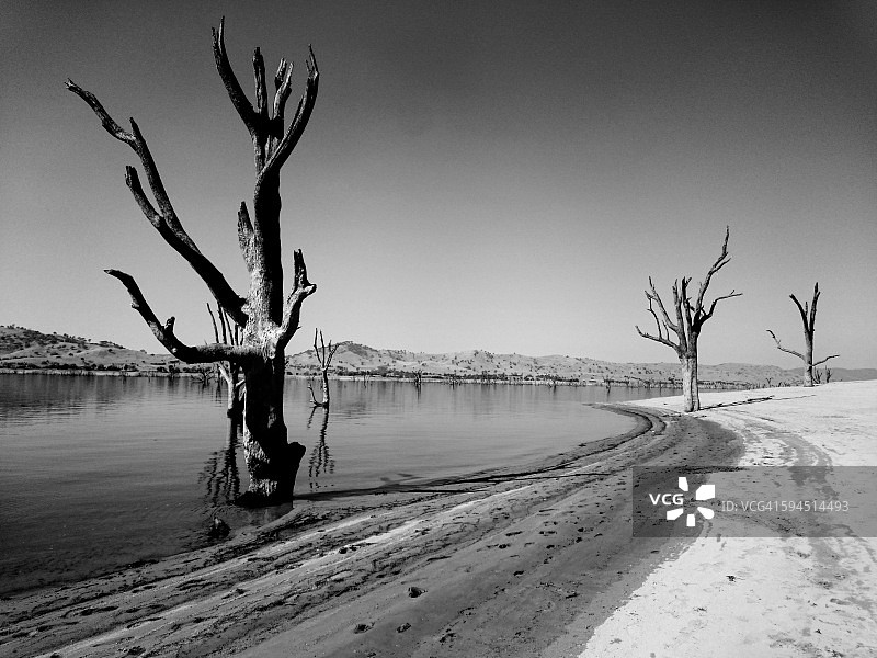 黑色和白色图片素材