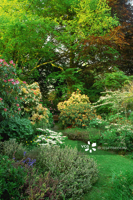斯图顿庄园的花园小径图片素材