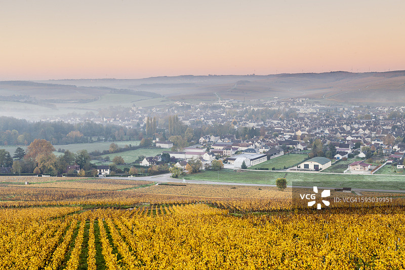 法国夏布利葡萄园的秋天图片素材