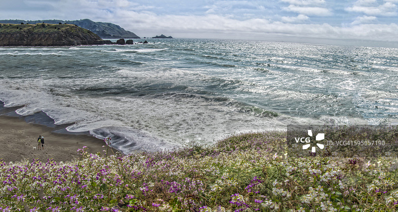 像当地人一样旅行：情侣在海滨与小狗欣赏美景图片素材